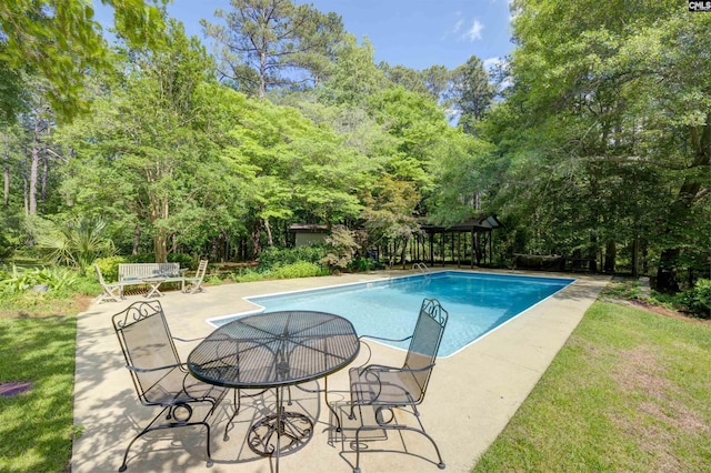208 Gibbs Rd, Elgin, SC 29045 - outdoor pool featuring a patio and view of scattered trees