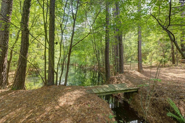 208 Gibbs Rd, Elgin, SC 29045 - view of wooded area