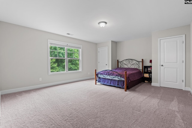 122 Lost Lure Ln, Chapin, SC 29036 - carpeted bedroom featuring baseboards