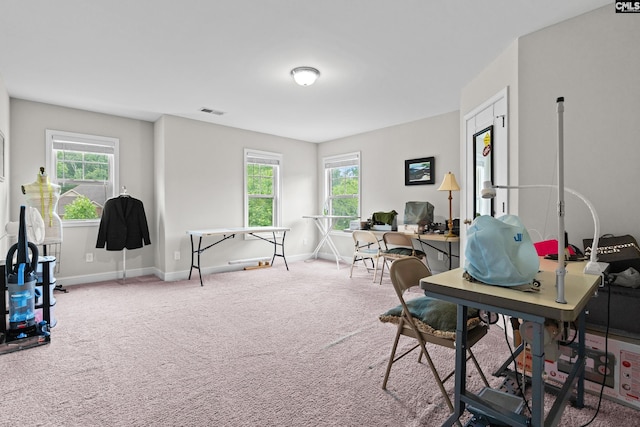122 Lost Lure Ln, Chapin, SC 29036 - office space with healthy amount of natural light, baseboards, and carpet floors