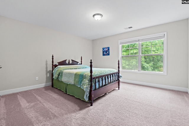 122 Lost Lure Ln, Chapin, SC 29036 - bedroom with baseboards and carpet flooring
