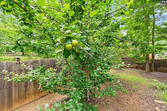 122 Lost Lure Ln, Chapin, SC 29036 - view of fenced backyard