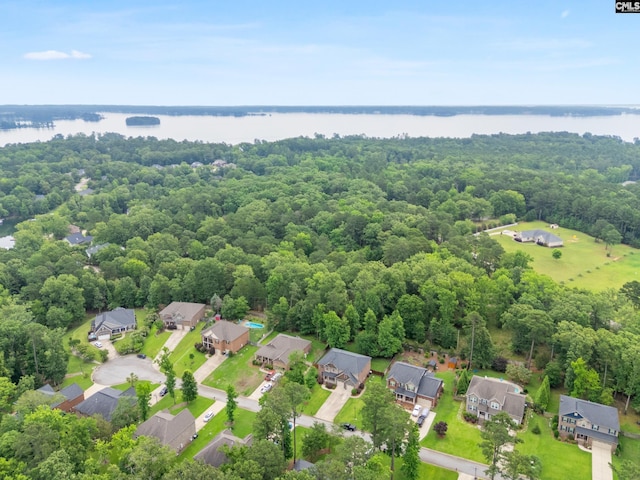 122 Lost Lure Ln, Chapin, SC 29036 - aerial view of residential area with a large body of water