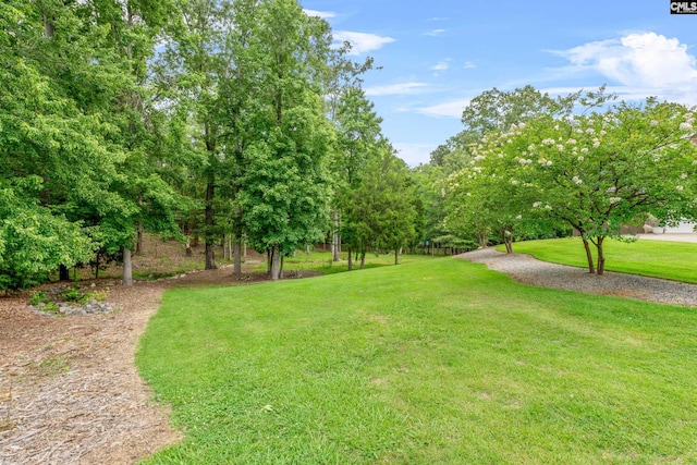 122 Lost Lure Ln, Chapin, SC 29036 - view of grassy yard