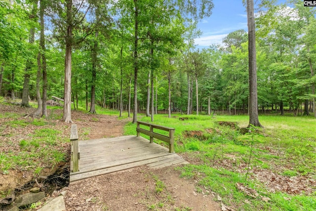 122 Lost Lure Ln, Chapin, SC 29036 - view of yard featuring a forest view