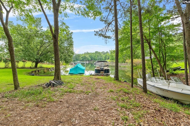 122 Lost Lure Ln, Chapin, SC 29036 - view of yard