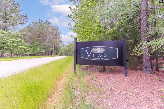 719 Clipper Trl Unit 9, Chapin, SC 29036