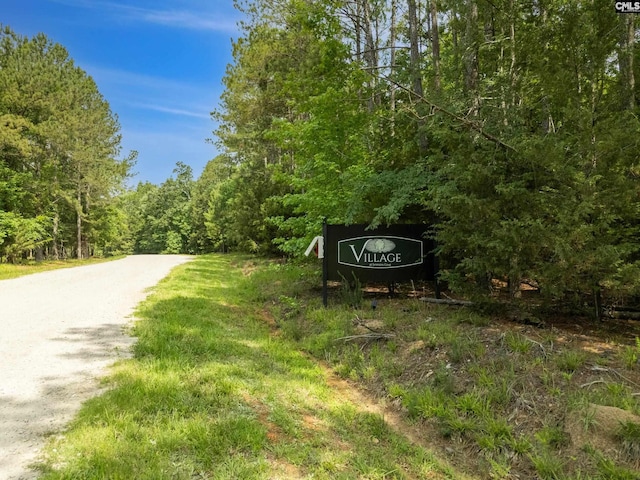 719 Clipper Trl Unit 9, Chapin, SC 29036