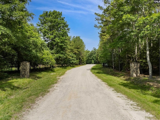 719 Clipper Trl Unit 9, Chapin, SC 29036