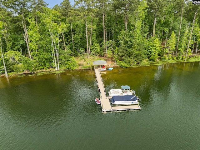 719 Clipper Trl Unit 9, Chapin, SC 29036