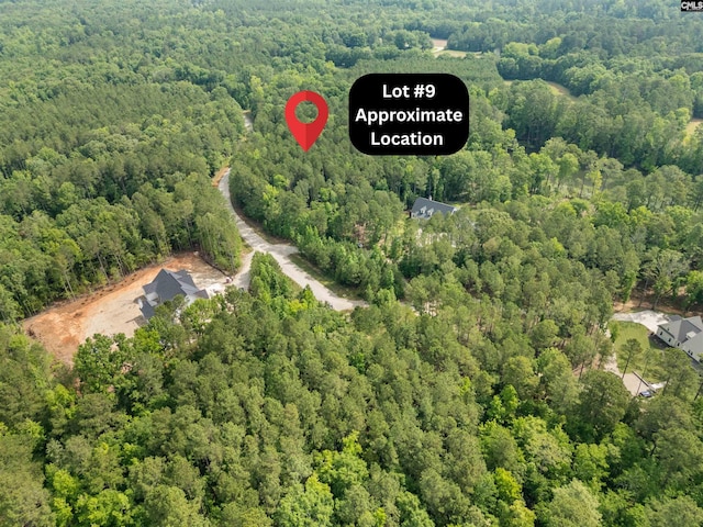 719 Clipper Trl Unit 9, Chapin, SC 29036