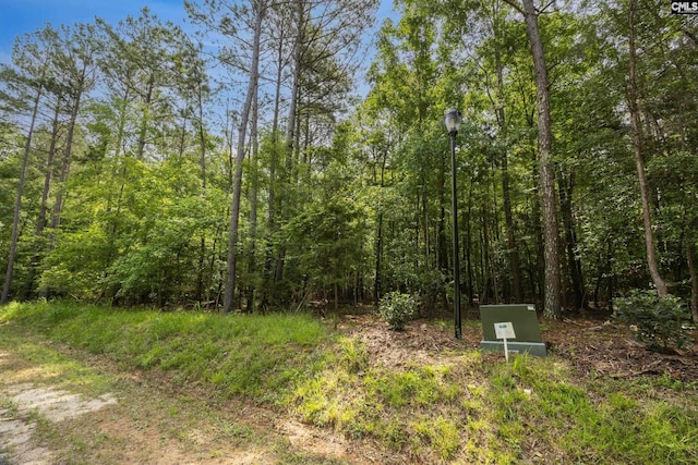 719 Clipper Trl Unit 9, Chapin, SC 29036