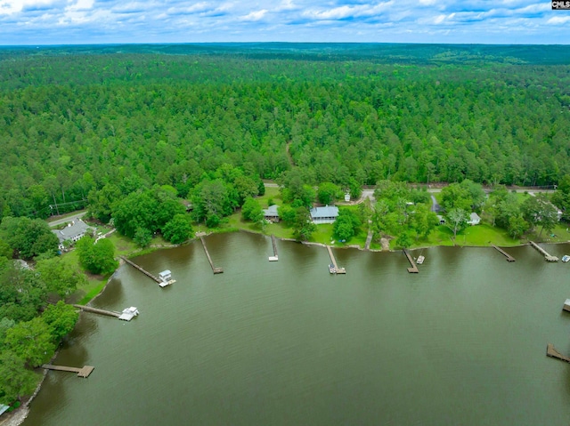 1805 Lakeshore Rd, Camden, SC 29020 - aerial view of property and surrounding area with a forest and a large body of water