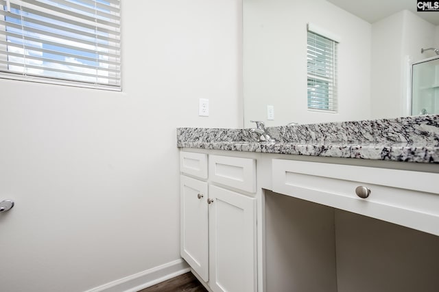 307 Sundew Rd, Elgin, SC 29045 - bathroom featuring vanity, plenty of natural light, wood finished floors, and a shower