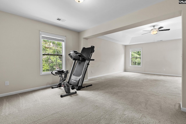 309 Tanners Mill Ct, Chapin, SC 29036 - exercise area featuring carpet, baseboards, and ceiling fan