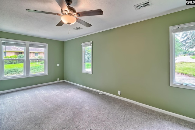 1820 Elm Abode Ter, Columbia, SC 29210 - unfurnished room with baseboards, carpet floors, a ceiling fan, a textured ceiling, and ornamental molding