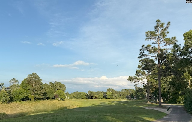 601 Cartgate Cir, Blythewood, SC 29016 - view of home's community with a yard and view of wooded area