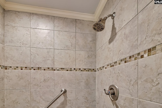 156 Whisperwood Dr, Lexington, SC 29072 - bathroom view of ornamental molding and tiled shower
