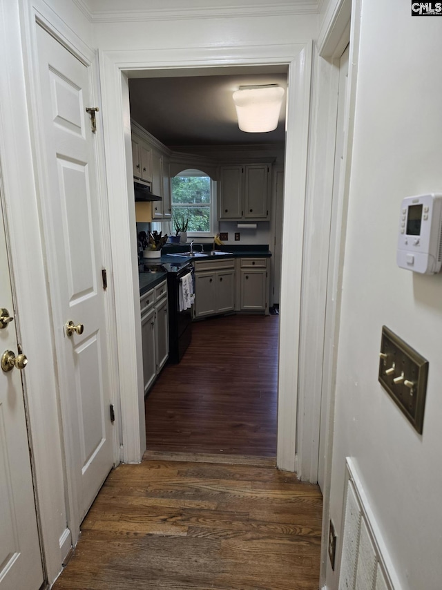 144 Brook Hollow Dr, Columbia, SC 29229 - kitchen with dark countertops, under cabinet range hood, dark wood-type flooring, gray cabinets, and crown molding