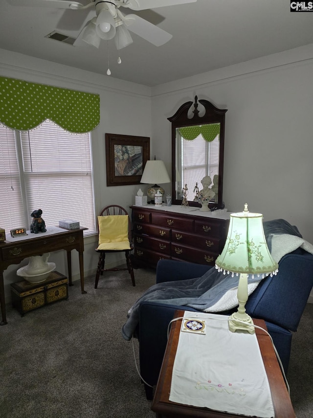 144 Brook Hollow Dr, Columbia, SC 29229 - carpeted bedroom with multiple windows and ceiling fan