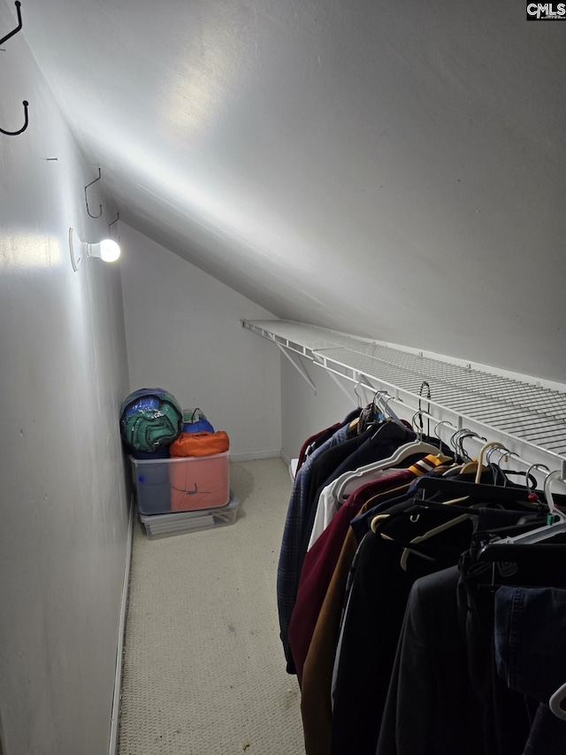 144 Brook Hollow Dr, Columbia, SC 29229 - spacious closet with carpet floors and vaulted ceiling