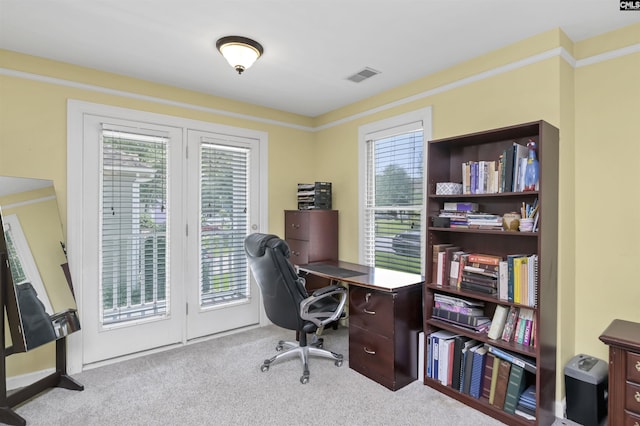 144 Brook Hollow Dr, Columbia, SC 29229 - office with carpet flooring