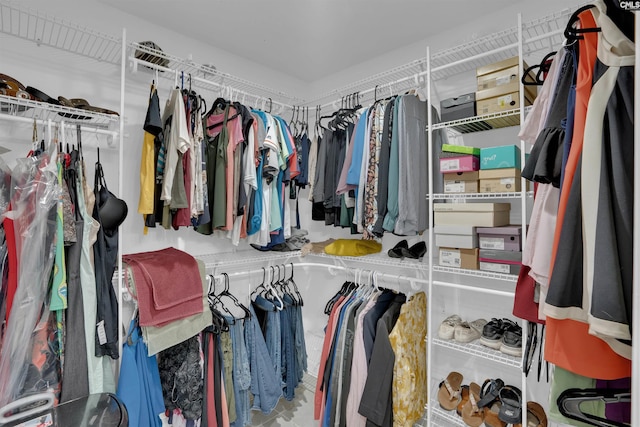 531 Sulgrave Dr, Columbia, SC 29210 - view of walk in closet
