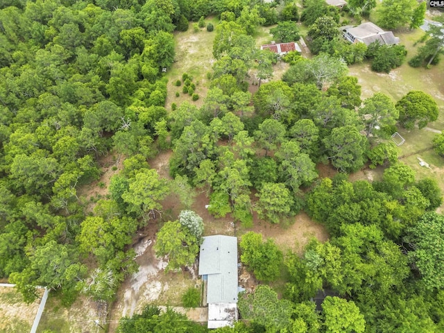 3201 Wilton Rd, West Columbia, SC 29170 - aerial view
