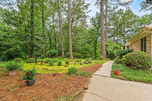 117 Brookspring Rd, Columbia, SC 29223 - view of yard