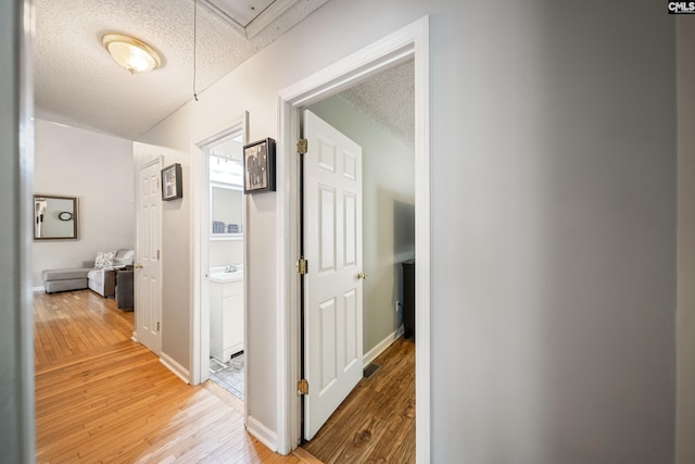 144 Stephanie Dr, Lexington, SC 29073 - hallway with a textured ceiling, light wood-style flooring, attic access, and baseboards