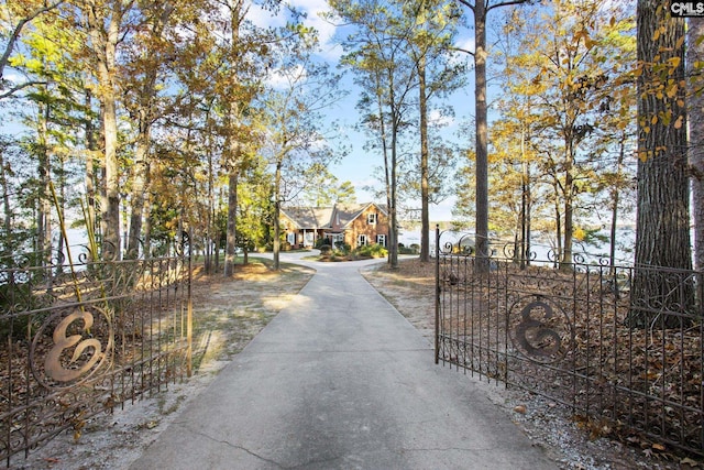 208 Ballentine Ln, Chapin, SC 29036 - view of asphalt driveway with a gated entry and a gate