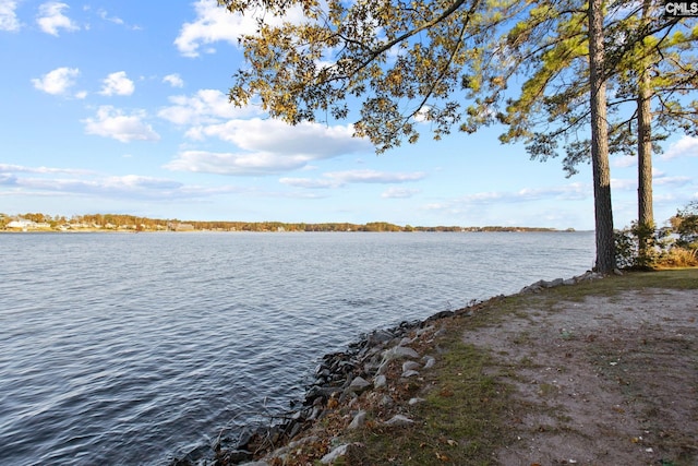 208 Ballentine Ln, Chapin, SC 29036 - water view