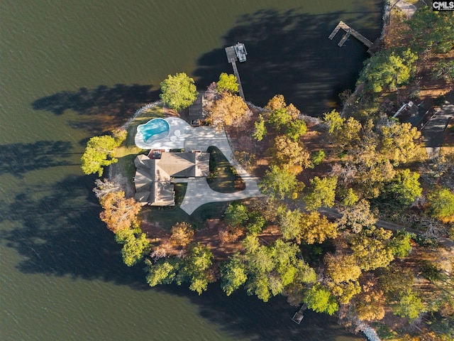 208 Ballentine Ln, Chapin, SC 29036 - aerial view of property and surrounding area with a pool area