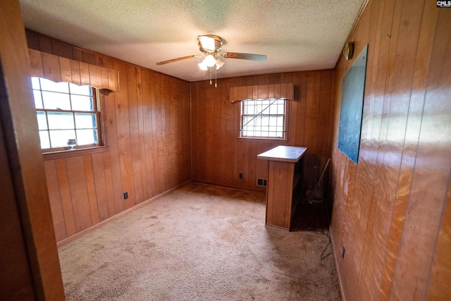 109 Mcrae St, Columbia, SC 29203 - spare room featuring plenty of natural light, wooden walls, light colored carpet, ceiling fan, and a textured ceiling