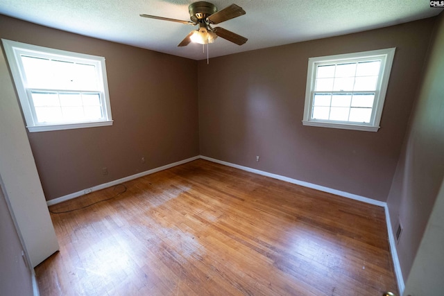 109 Mcrae St, Columbia, SC 29203 - unfurnished room with plenty of natural light, light wood-style flooring, ceiling fan, and a textured ceiling