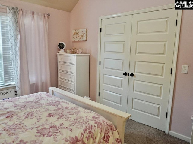522 Meadow Grass Ln, Lexington, SC 29072 - bedroom with carpet, lofted ceiling, a closet, and baseboards
