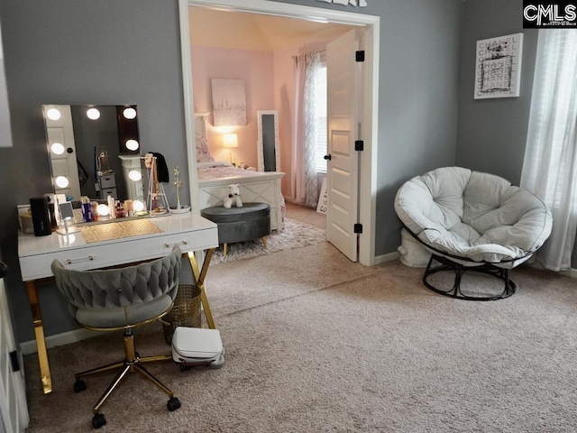 522 Meadow Grass Ln, Lexington, SC 29072 - carpeted bedroom featuring an office area