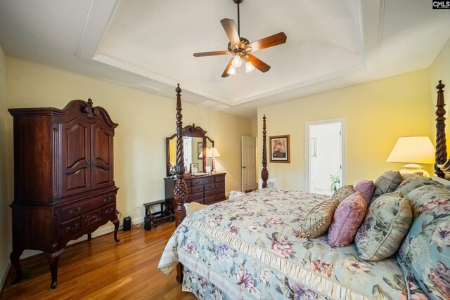 55 Hickory Woods Ct, Columbia, SC 29223 - bedroom featuring a tray ceiling, light wood-style floors, ceiling fan, and baseboards