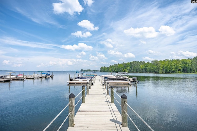 10 Low Hill Ln, Lexington, SC 29072 - dock area featuring a water view