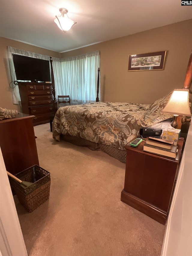 150 Azalea Ave, Bamberg, SC 29003 - bedroom with carpet flooring