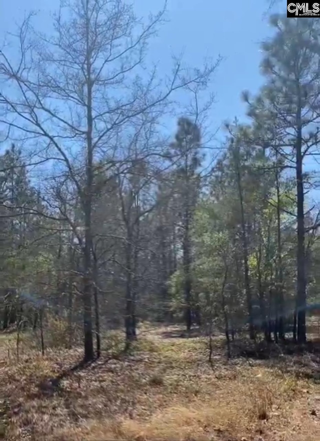 LOT11 Russell Rowe Rd Unit 11, Leesville, SC 29070
