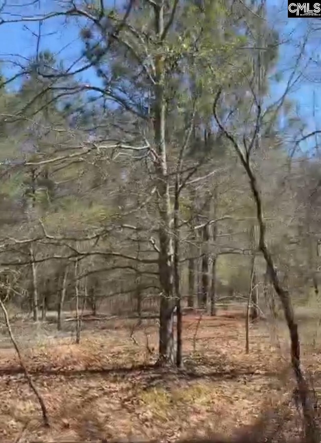 LOT11 Russell Rowe Rd Unit 11, Leesville, SC 29070