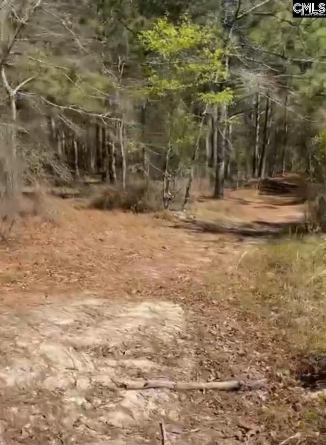 LOT11 Russell Rowe Rd Unit 11, Leesville, SC 29070
