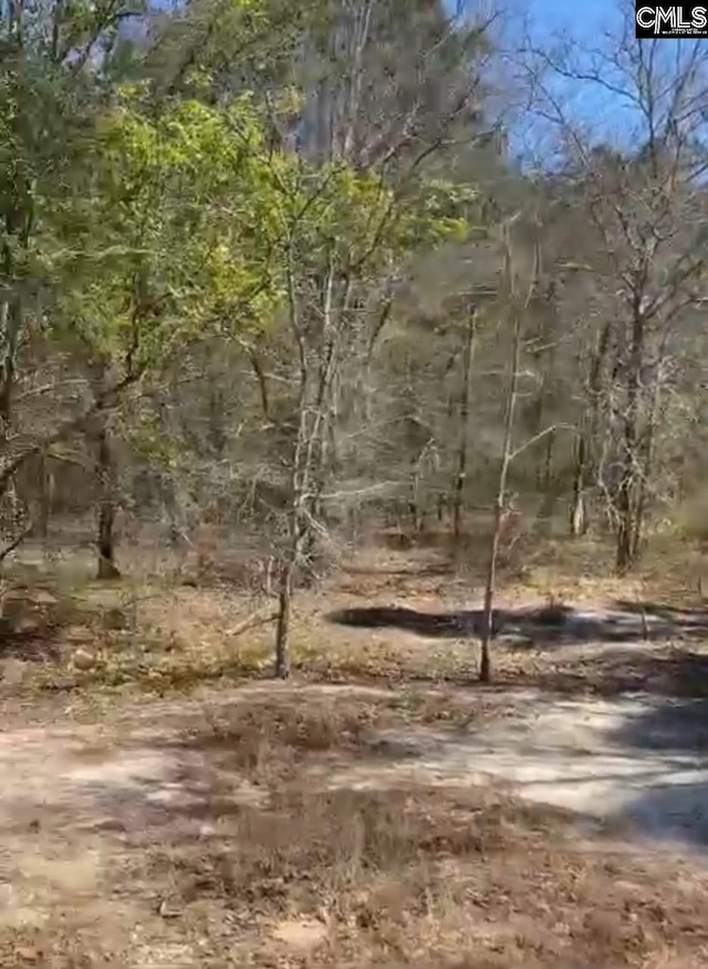 LOT11 Russell Rowe Rd Unit 11, Leesville, SC 29070