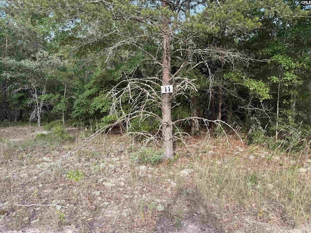 LOT11 Russell Rowe Rd Unit 11, Leesville, SC 29070