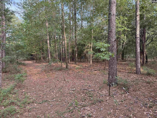 LOT11 Russell Rowe Rd Unit 11, Leesville, SC 29070