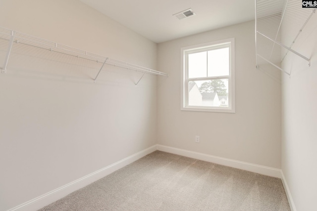 412 Blue Robin Ln, Columbia, SC 29210 - walk in closet featuring light colored carpet