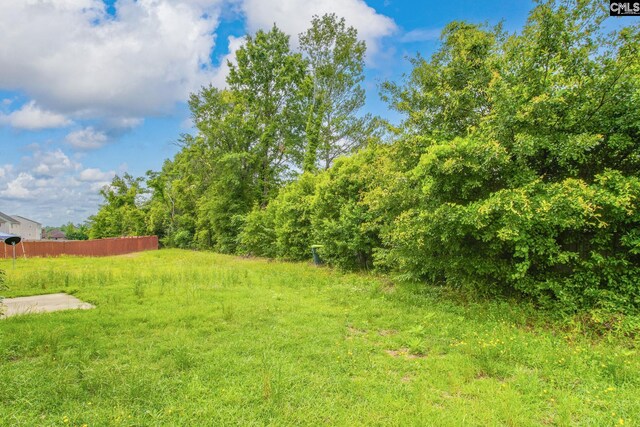 412 Blue Robin Ln, Columbia, SC 29210 - view of yard