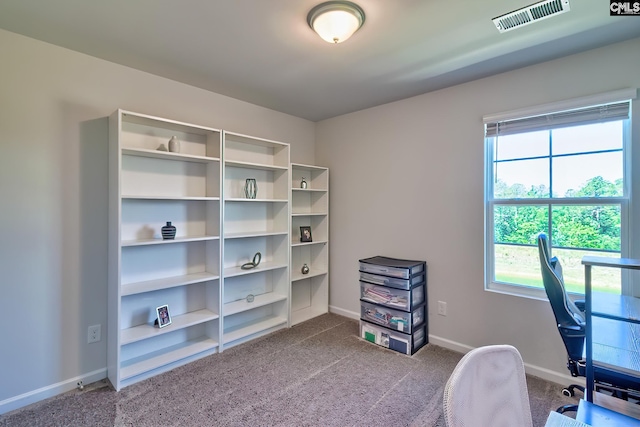2426 Trakand Dr, Lexington, SC 29073 - carpeted home office featuring healthy amount of natural light and baseboards