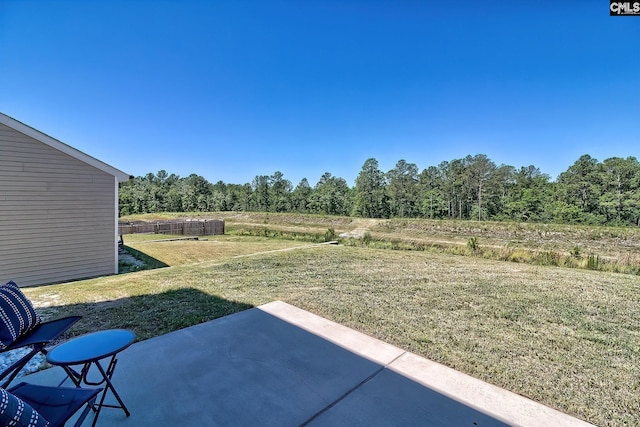2426 Trakand Dr, Lexington, SC 29073 - view of grassy yard with a patio